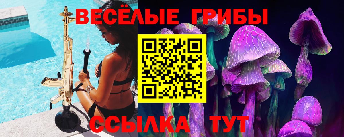 Псилоцибиновые грибы MAGIC MUSHROOMS  хочу наркоту  Анапа  Вход с VPN  Псилоцибиновые грибы Magic Shrooms 